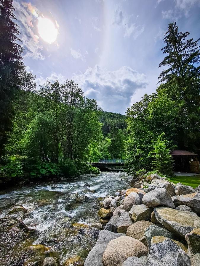 Tatrystay Riverstone Chalets Demänovská Dolina Eksteriør bilde